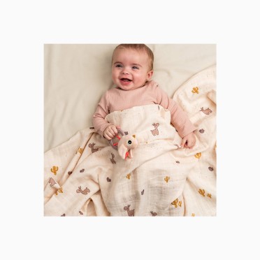 MUSSELINA 120X120 LALEE
