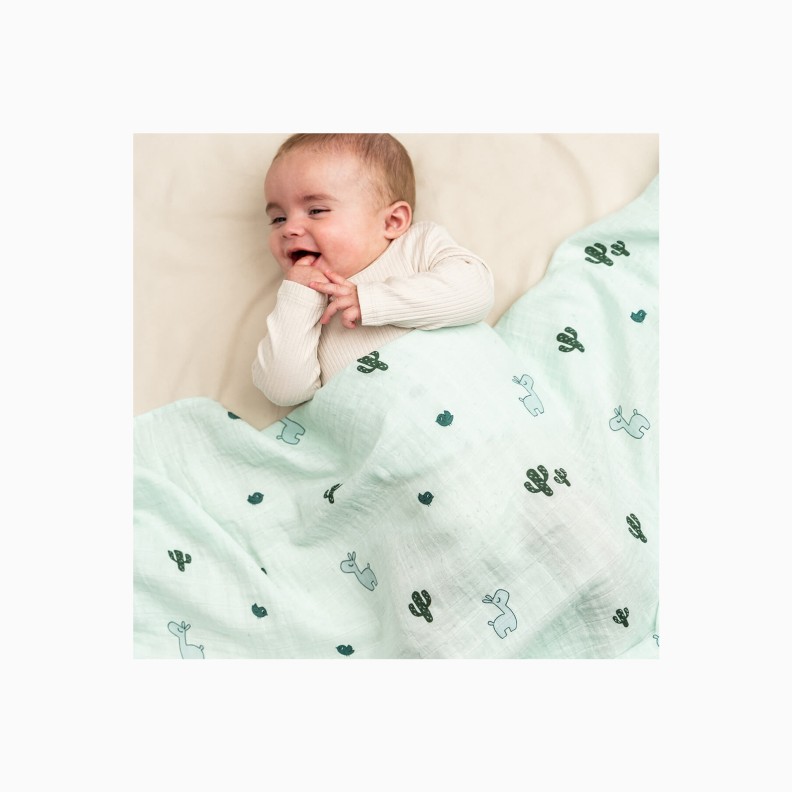 MUSSELINA 120X120 LALEE