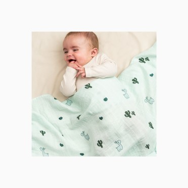 MUSSELINA 120X120 LALEE