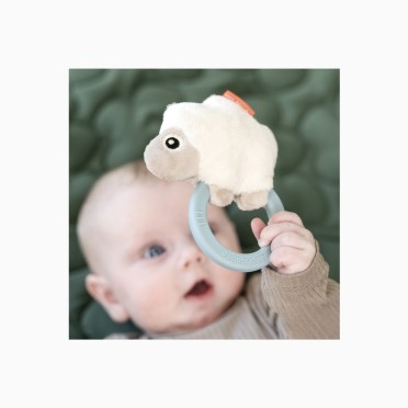 ROCA SENSORIAL COM MORDEDOR SHEEPY