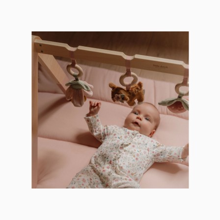 BABYGYM - FAIRY GARDEN