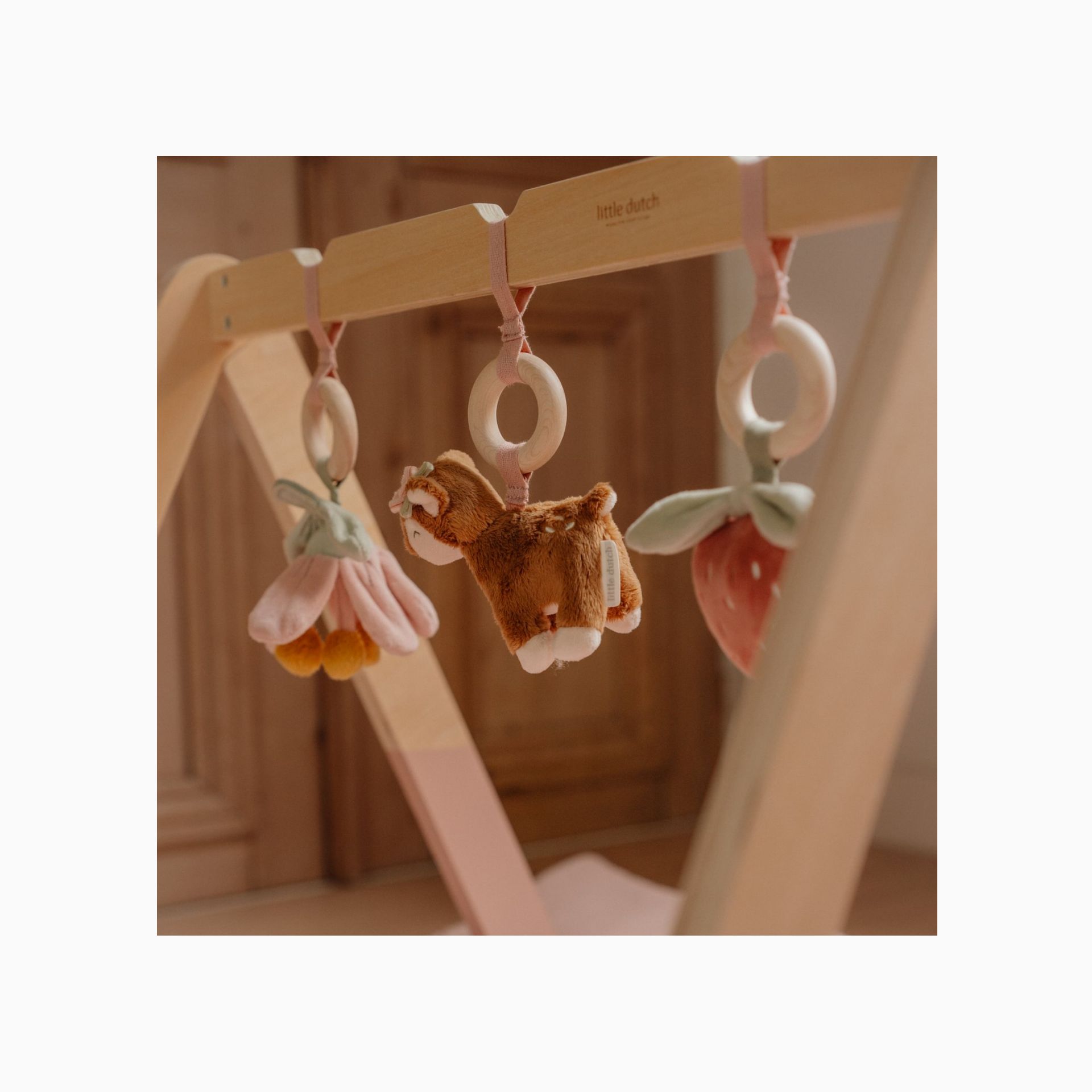 BABYGYM - FAIRY GARDEN