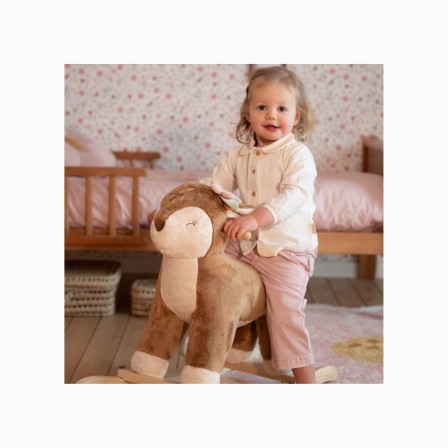 CORÇA DE BALOIÇO - FAIRY GARDEN