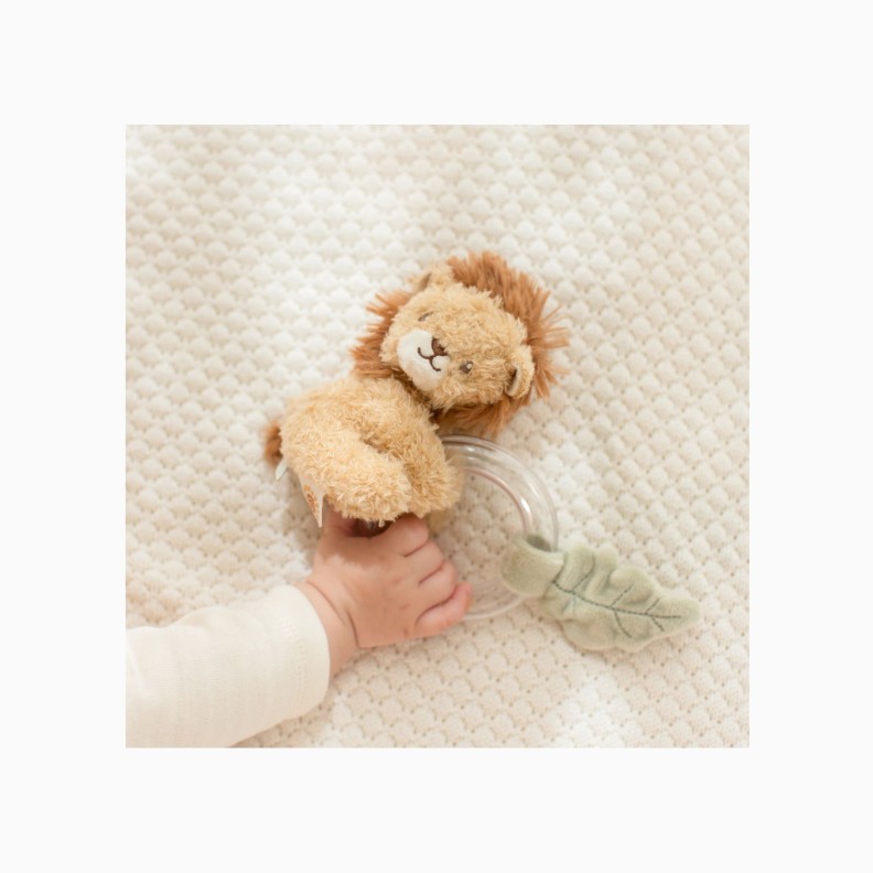 ANEL ROCA LE�O - SAFARI FRIENDS