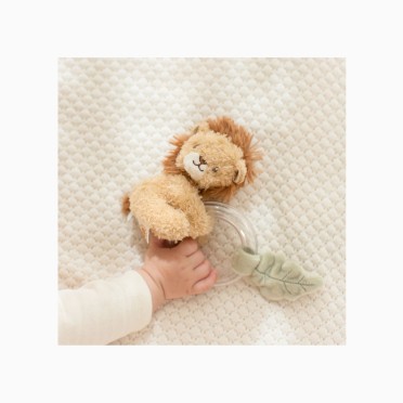 ANEL ROCA LE�O - SAFARI FRIENDS